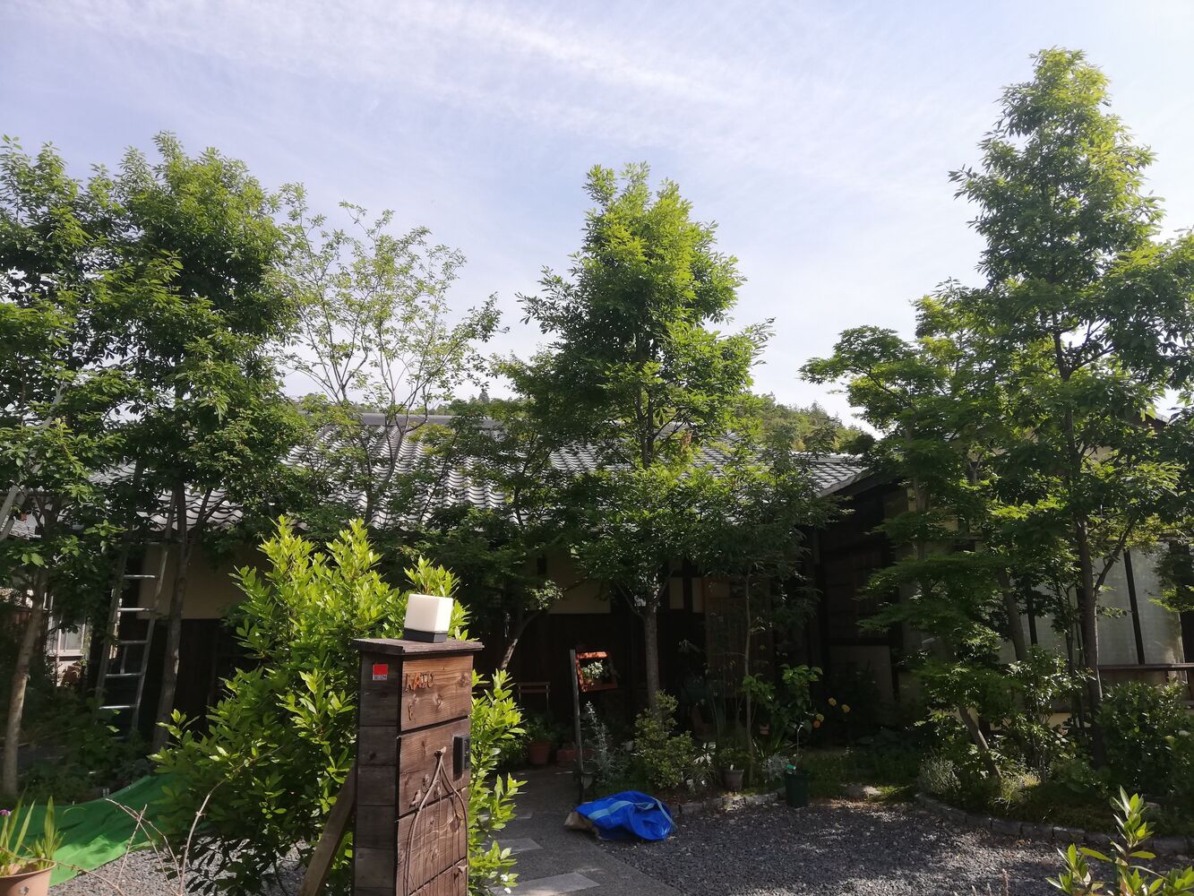 BLOG