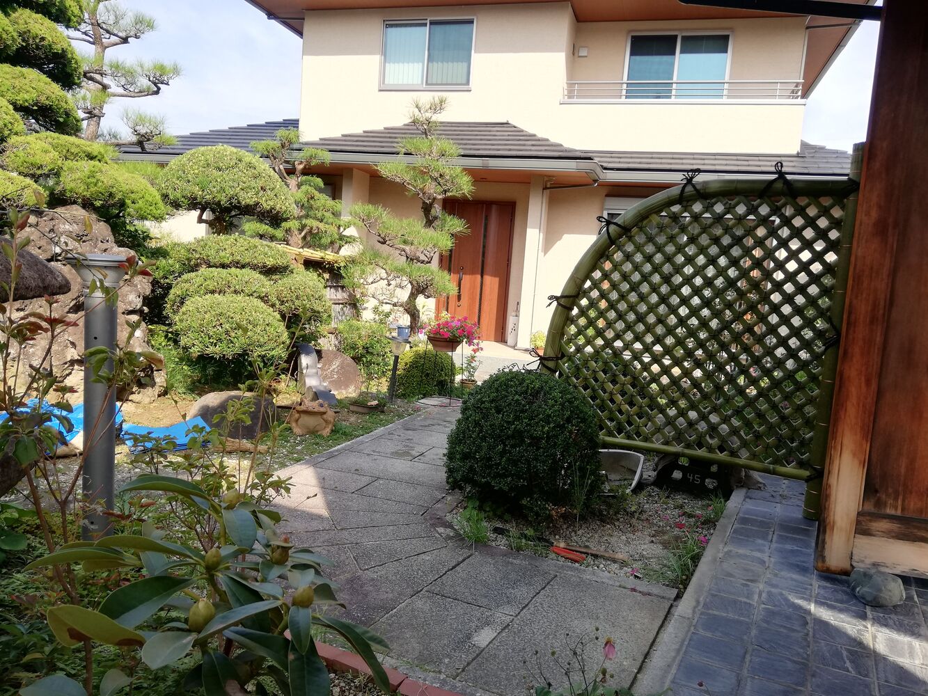 BLOG