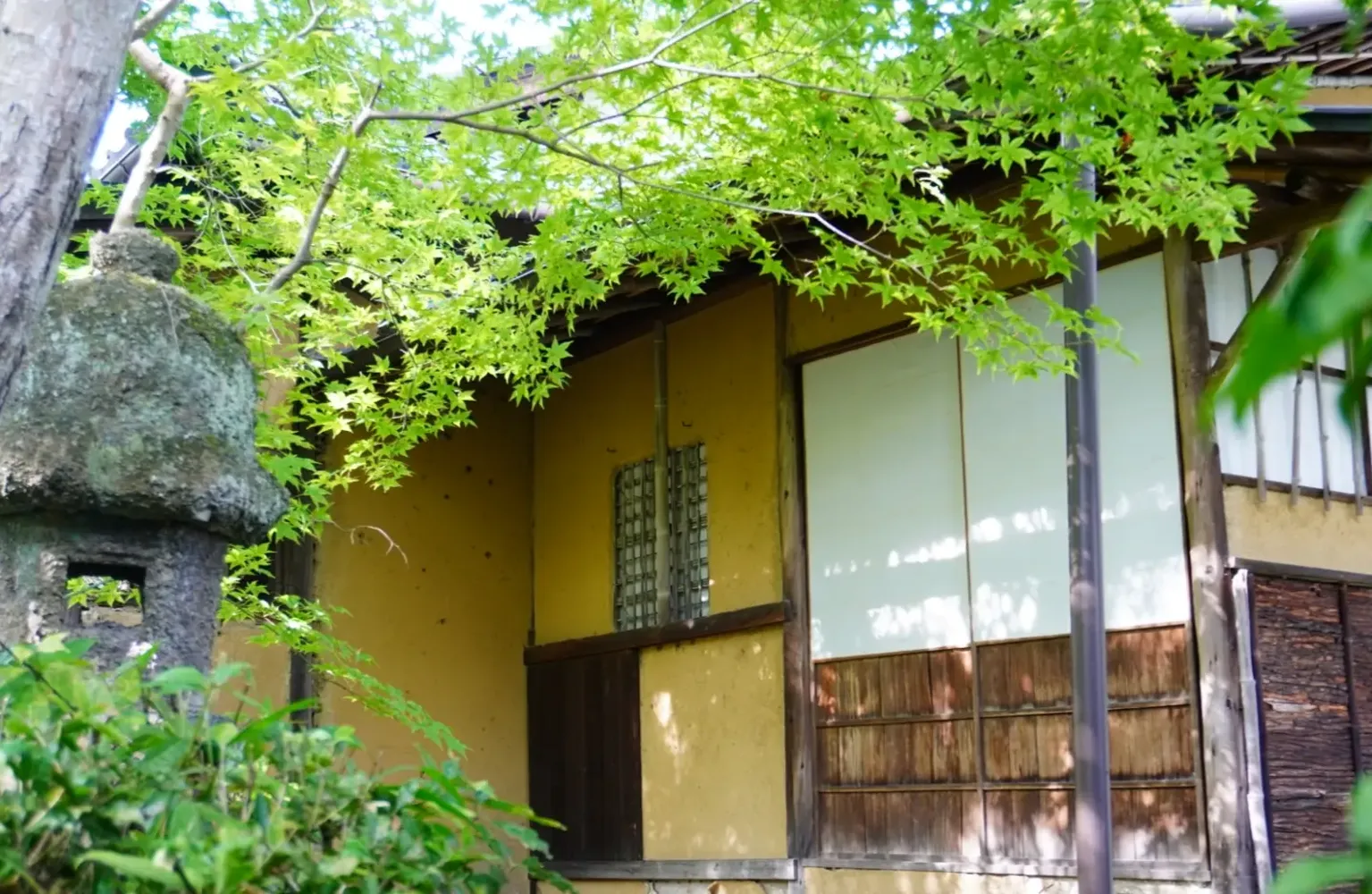 BLOG