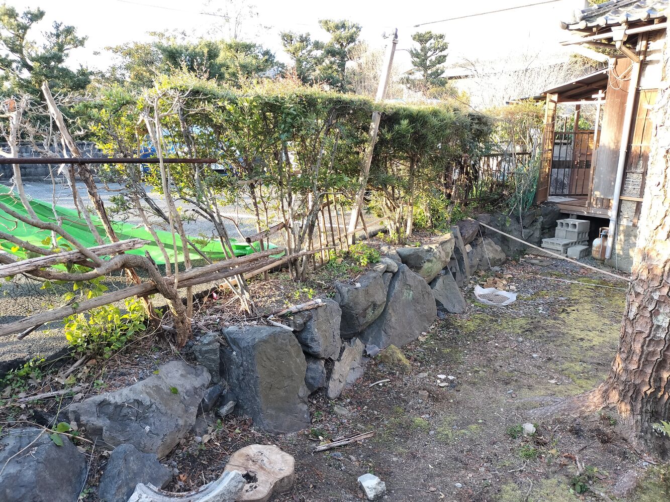 BLOG