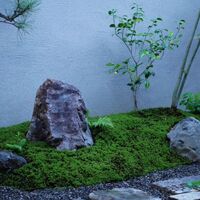 画像2368