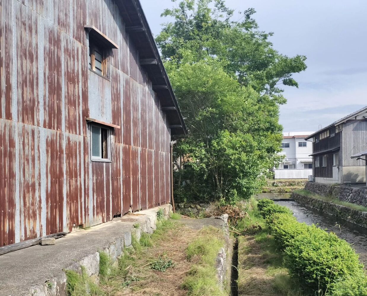 BLOG