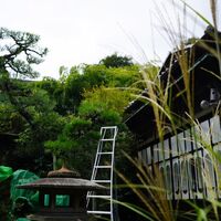 画像2755