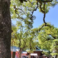 画像2857
