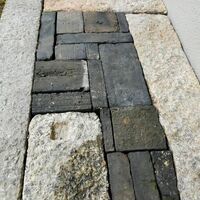 画像2870