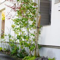 画像2899