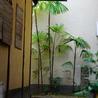 画像2908
