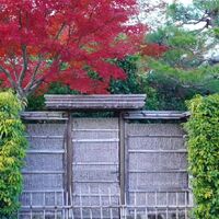 画像2941