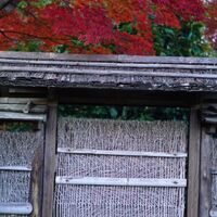 画像2942