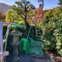画像2965