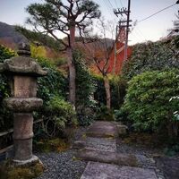 画像2966
