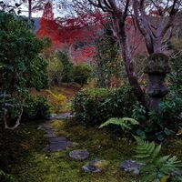 画像2967