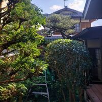 画像3019