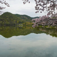 画像3262