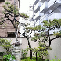 画像3344