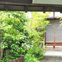 画像3487