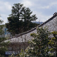 画像4161