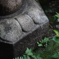 画像5440