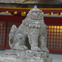 画像5580